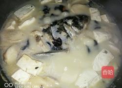 鱼头炖豆腐的做法图解10