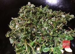 炒马齿苋的做法图解5