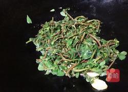 炒马齿苋的做法图解7