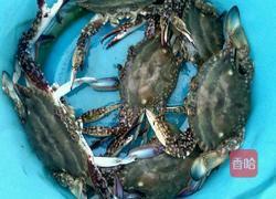 清蒸海蟹的做法图解2