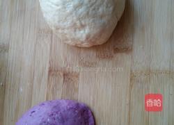 紫薯包和馒头的做法图解6