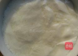 老酸奶的做法图解4