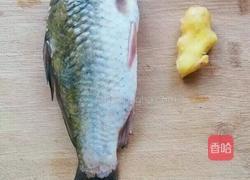 鲫鱼汤的做法图解3