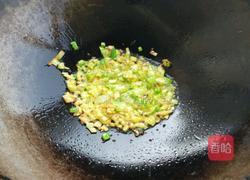 西红柿肉酱的做法图解5