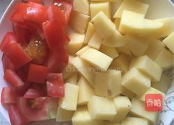 土豆焖牛腩的做法图解5