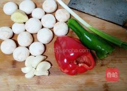 小鸡采蘑菇的做法图解4