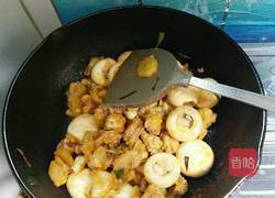 小鸡采蘑菇的做法图解10