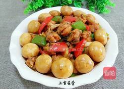 小鸡采蘑菇的做法图解13