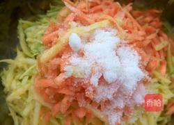 素炒五彩丝的做法图解1