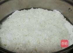 自制米酒的做法图解3