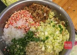 天津初一素馅饺子的做法图解2