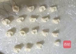 萝卜丝素馅饺子的做法图解15