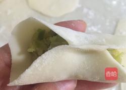 萝卜丝素馅饺子的做法图解19