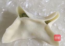 萝卜丝素馅饺子的做法图解20