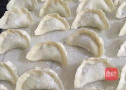 萝卜丝素馅饺子的做法图解22