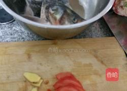 西红柿鱼头汤的做法图解1