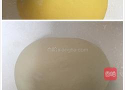 鸳鸯甜花卷的做法图解3