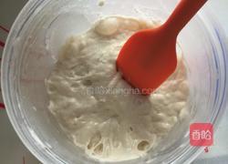 热狗面包（波兰种）的做法图解1