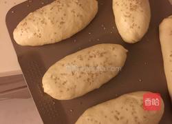 热狗面包(波兰种)的做法图解11