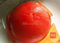 番茄浓汁烧豆腐的做法图解6
