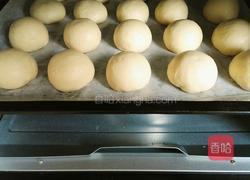 红豆沙小餐包的做法图解14