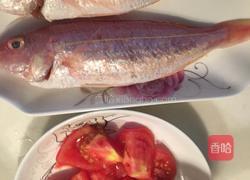 番茄焖红衫鱼的做法图解3