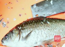 鸡蛋豆腐鲫鱼汤的做法图解4