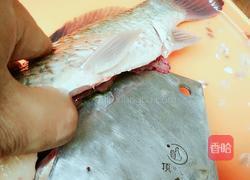 鸡蛋豆腐鲫鱼汤的做法图解5