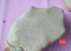 全麦小面包（豆沙馅）的做法图解5