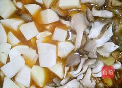 土豆蘑菇炖鸡块的做法图解10