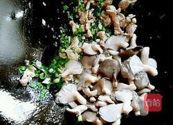 小蘑菇炒肉片(无盐无味精版)的做法图解8