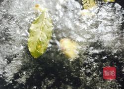 萝卜焖羊肉的做法图解2