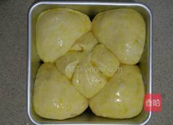 红豆沙面包的做法图解10