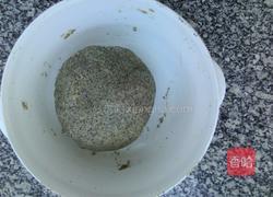 黑豆面窝窝头的做法图解7