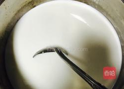 椰奶冻（极其简单）的做法图解4