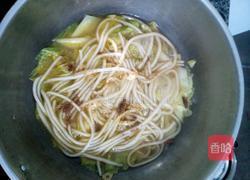 白菜炖粉条的做法图解7