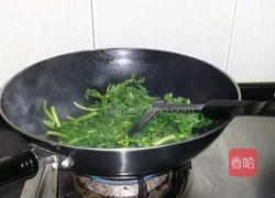 炒蓬蒿菜的做法图解4