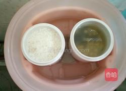 雪燕炖牛奶的做法图解6