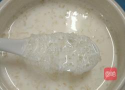 雪燕炖牛奶的做法图解7