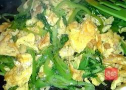 茴香小炒蛋的做法图解8