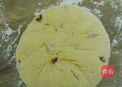 玉米面发糕的做法图解9