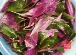 猪肝血皮菜的做法图解5