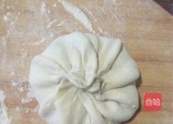 洋葱猪肉馅饼的做法图解5