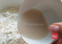 猪肉萝卜包子的做法图解2