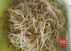 凉拌豆芽的做法图解2