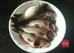 鲫鱼炖茶油的做法图解1