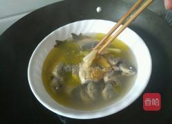 鲫鱼炖茶油的做法图解7