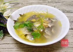 鲫鱼炖茶油的做法图解8