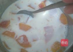 木瓜牛奶的做法图解6