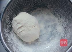 空气炸锅简易苹果派的做法图解1